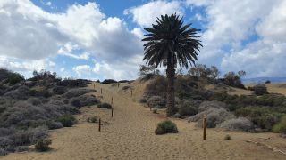 2023-GC-Dunas_Maspalomas-043.jpg